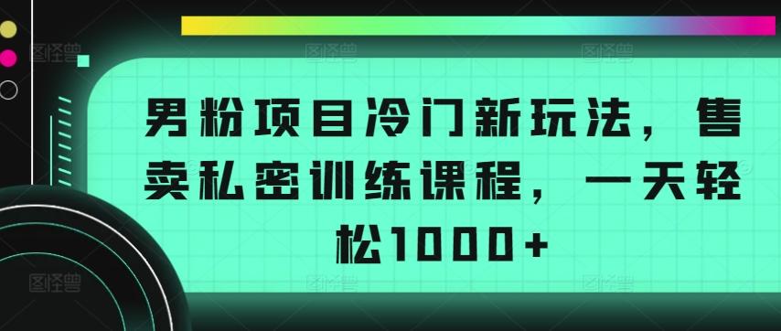 男粉项目冷门新玩法，售卖私密训练课程，一天轻松1000+【揭秘】-511资料网