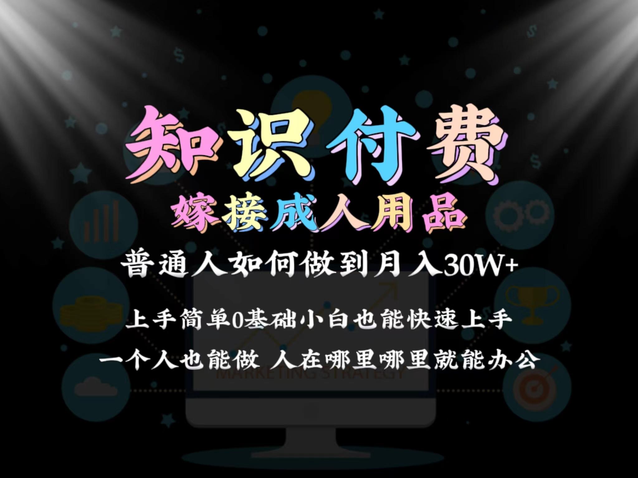 2024普通人做知识付费结合成人用品如何实现单月变现30w 保姆教学1.0-511资料网