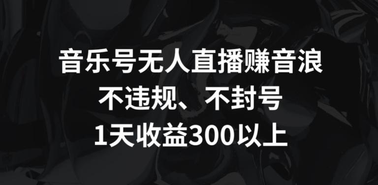 音乐号无人直播赚音浪，不违规、不封号，1天收益300+【揭秘】-511资料网