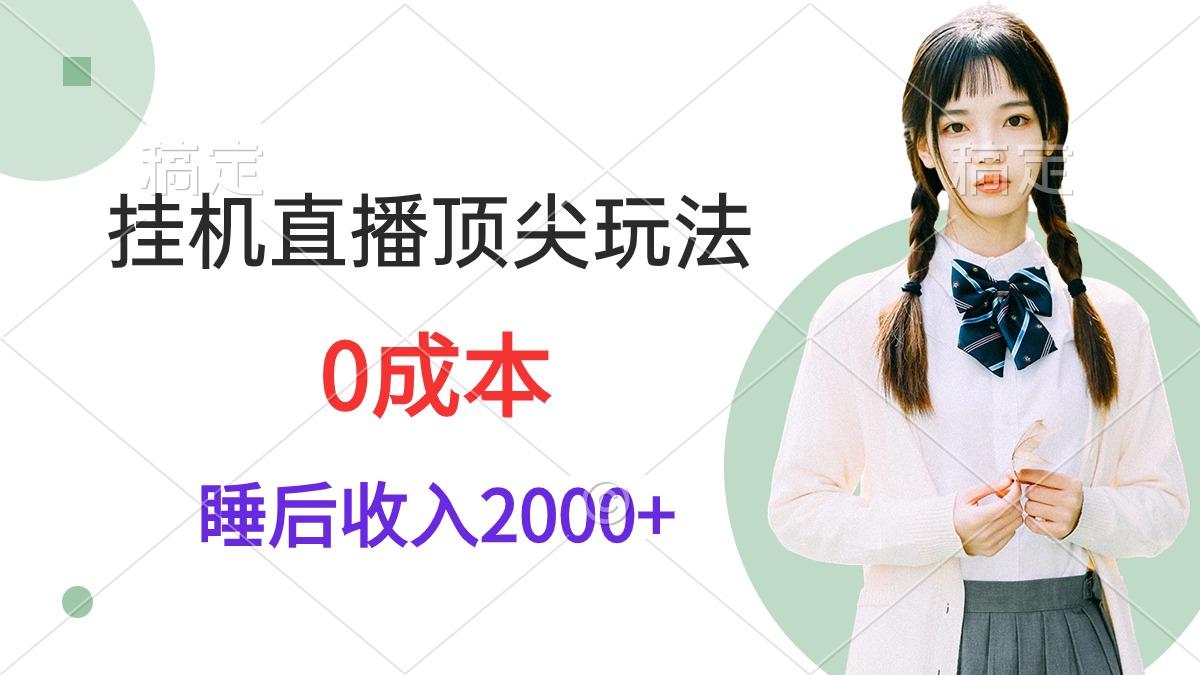 (9715期)挂机直播顶尖玩法，睡后日收入2000+、0成本，视频教学-511资料网