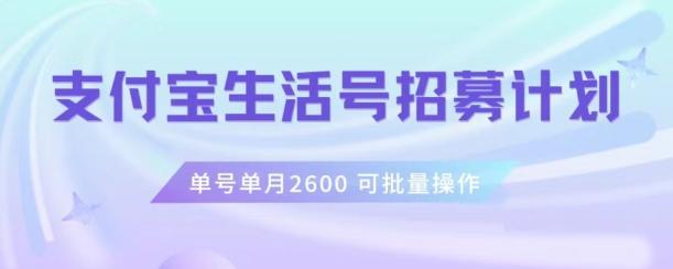 支付宝生活号作者招募计划，单号单月2600，可批量去做，工作室一人一个月轻松1w+【揭秘】-511资料网