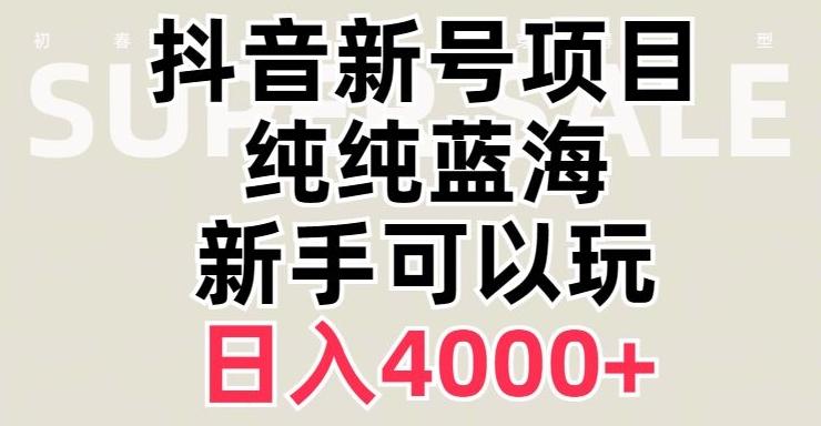 抖音蓝海赛道，必须是新账号，日入4000+【揭秘】-511资料网