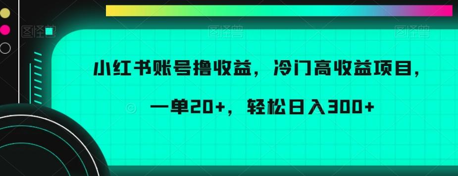 小红书账号撸收益，冷门高收益项目，一单20+，轻松日入300+【揭秘】-511资料网