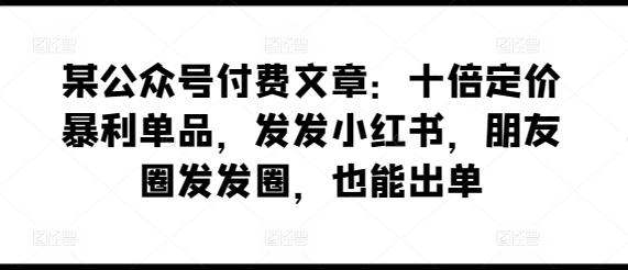 某公众号付费文章：十倍定价暴利单品，发发小红书，朋友圈发发圈，也能出单-511资料网
