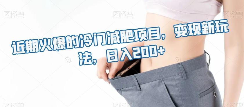 近期火爆的冷门减肥项目，变现新玩法，日入200+-511资料网