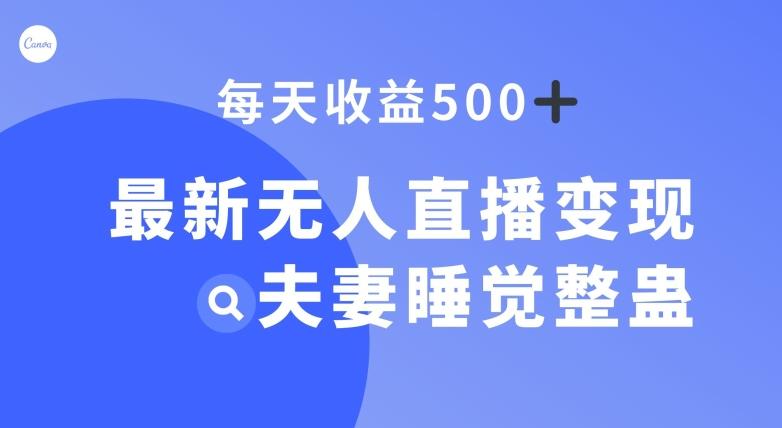 最新无人直播变现，夫妻睡觉整蛊，每天躺赚500+【揭秘】-511资料网