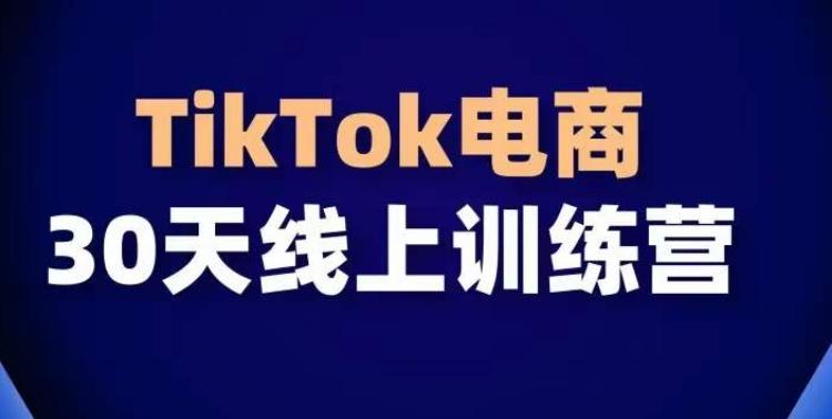 TikTok电商带货30天线上课，不可错过的全球流量洼地！-511资料网