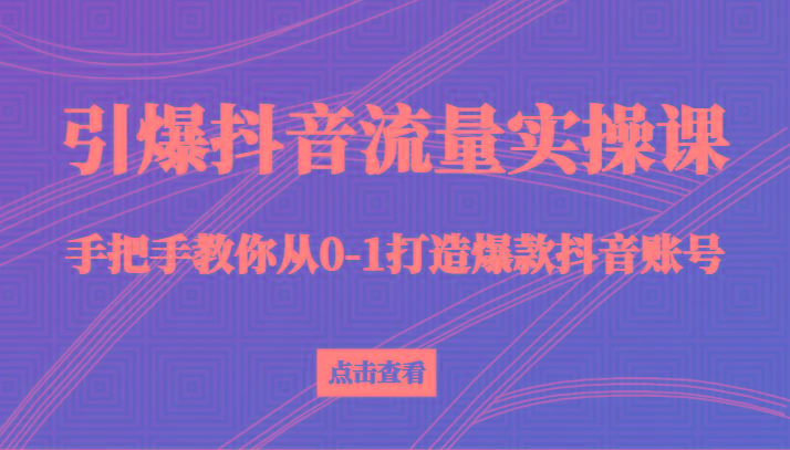 引爆抖音流量实操课，手把手教你从0-1打造爆款抖音账号(27节课)-511资料网