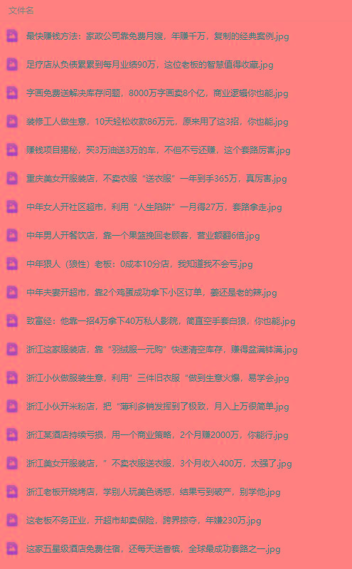 图片[1]-(9607期)真实有效391套商业模式，年入几十到几百万案例解析(电子书+视频+图文)-511资料网