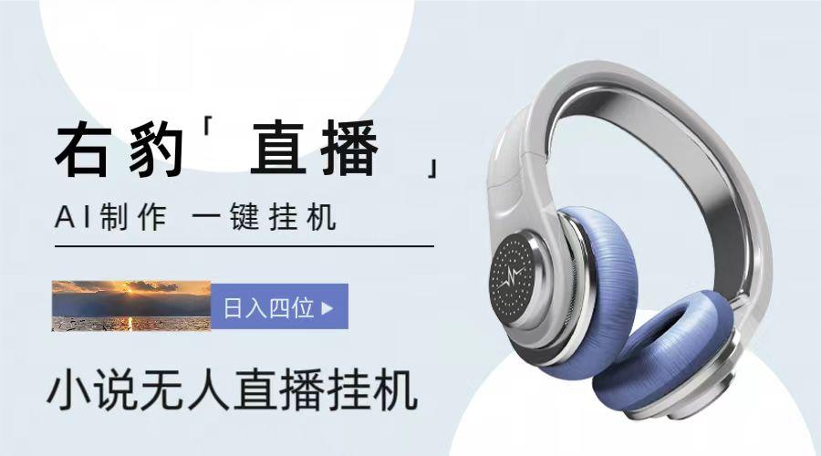 右豹小说无人直播挂机吸金项目，简单易行收益稳定， 月入1000+-511资料网