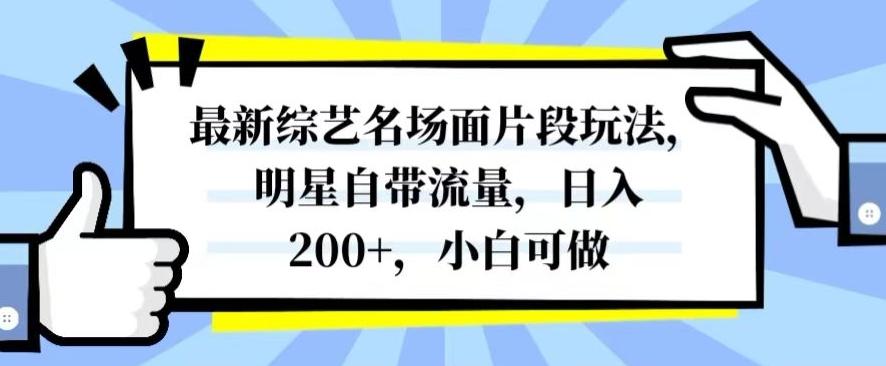 最新综艺名场面片段玩法，明星自带流量，日入200+，小白可做【揭秘】-511资料网