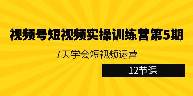 视频号短视频实操训练营第5期：7天学会短视频运营(12节课)-511资料网