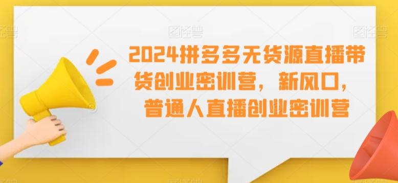 2024拼多多无货源直播带货创业密训营，新风口，普通人直播创业密训营-511资料网