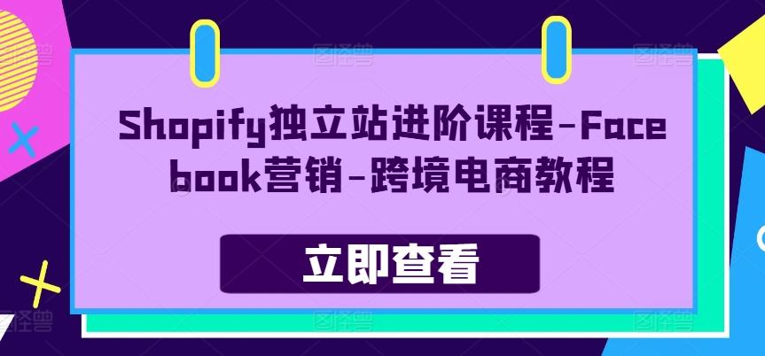 Shopify独立站进阶课程-Facebook营销-跨境电商教程-511资料网
