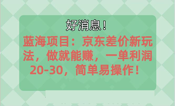 越早知道越能赚到钱的蓝海项目：京东大平台操作，一单利润20-30，简单…-511资料网