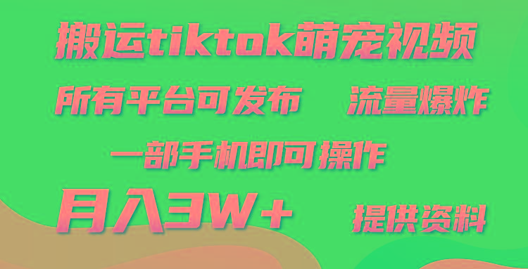 (9618期)搬运Tiktok萌宠类视频，一部手机即可。所有短视频平台均可操作，月入3W+-511资料网
