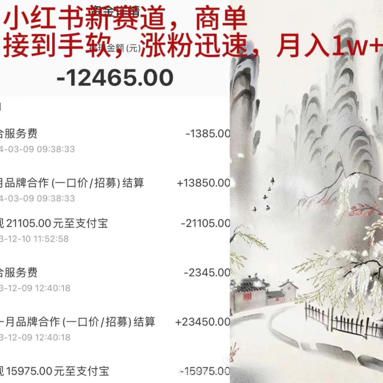(9476期)小红书新赛道，商单接到手软，涨粉迅速，月入1w+-511资料网