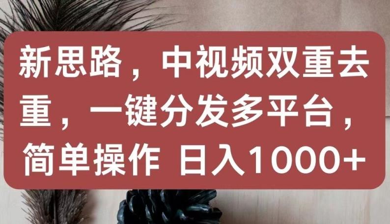 新思路，中视频双重去重，一键分发多平台，简单操作，日入1000+【揭秘】-511资料网
