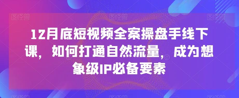 12月底短视频全案操盘手线下课，如何打通自然流量，成为想象级IP必备要素-511资料网
