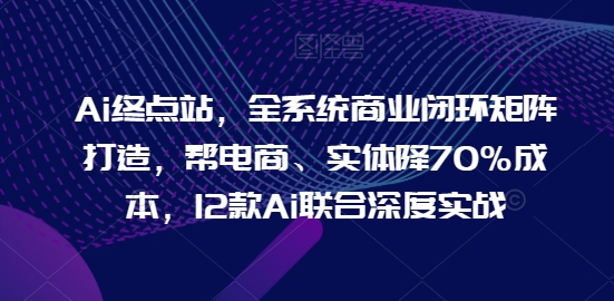 Ai终点站，全系统商业闭环矩阵打造，帮电商、实体降70%成本，12款Ai联合深度实战【0906更新】-511资料网
