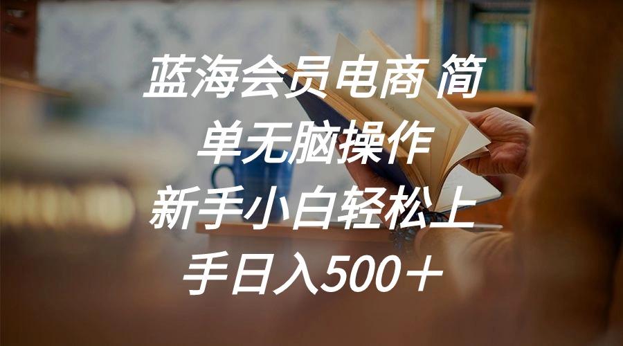 蓝海会员电商 简单无脑操作 新手小白轻松上手日入500＋-511资料网