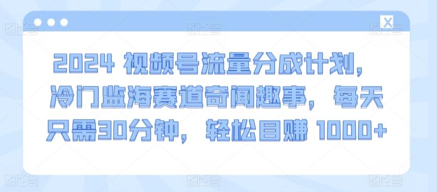 2024视频号流量分成计划，冷门监海赛道奇闻趣事，每天只需30分钟，轻松目赚 1000+【揭秘】-511资料网