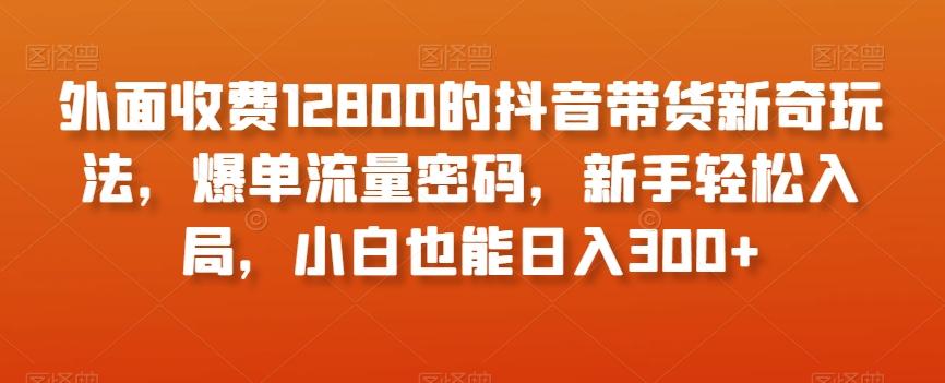 外面收费12800的抖音带货新奇玩法，爆单流量密码，新手轻松入局，小白也能日入300+【揭秘】-511资料网