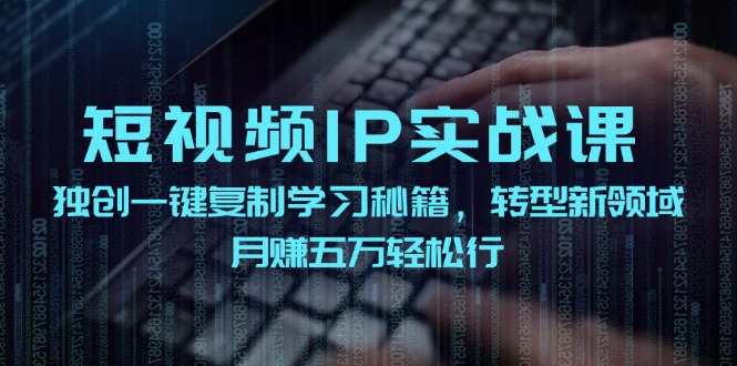 短视频IP实战课，独创一键复制学习秘籍，转战新领域，月赚五万轻松行-511资料网