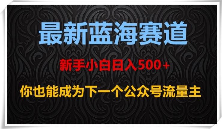 最新蓝海赛道，新手小白日入500+，你也能成为下一个公众号流量主【揭秘】-511资料网