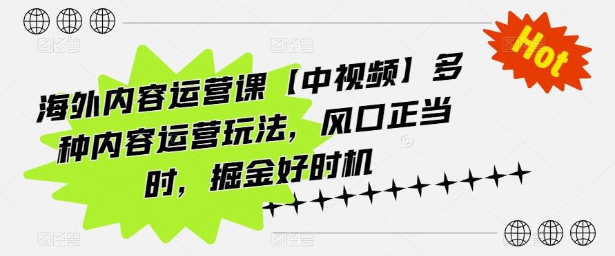 海外内容运营课【中视频】多种内容运营玩法，风口正当时，掘金好时机-511资料网