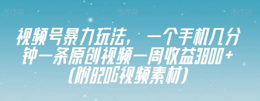 视频号暴力玩法，一个手机几分钟一条原创视频一周收益3800+（附820G视频素材）-511资料网