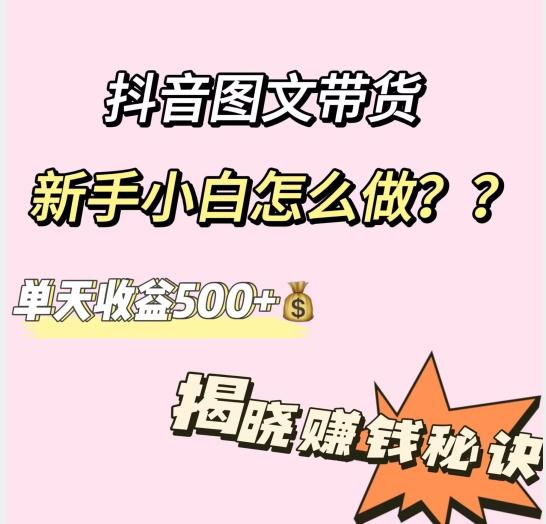 抖音图文带货，新手小白怎么做？单天收益500+【揭秘赚钱秘诀】-511资料网