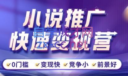 洲洲老师·小说推广快速变现营-511资料网