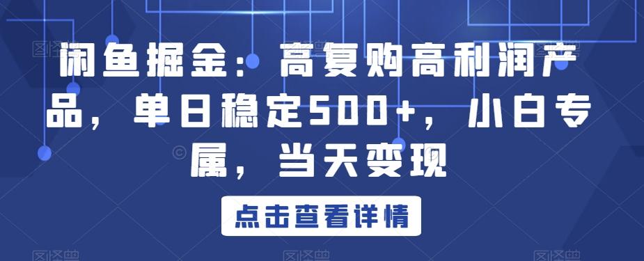 闲鱼掘金：高复购高利润产品，单日稳定500+，小白专属，当天变现-511资料网