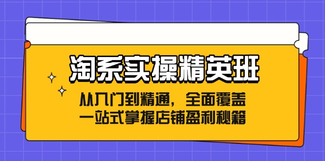 淘系实操精英班：从入门到精通，全面覆盖，一站式掌握店铺盈利秘籍-511资料网
