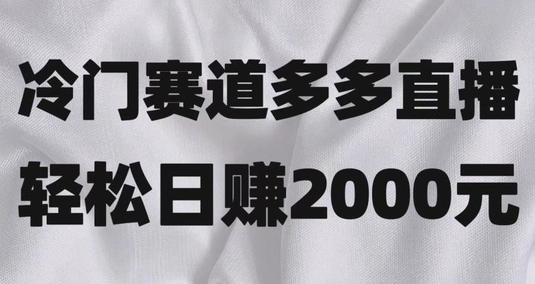 冷门赛道拼多多直播，简单念稿子，日收益2000＋【揭秘】-511资料网