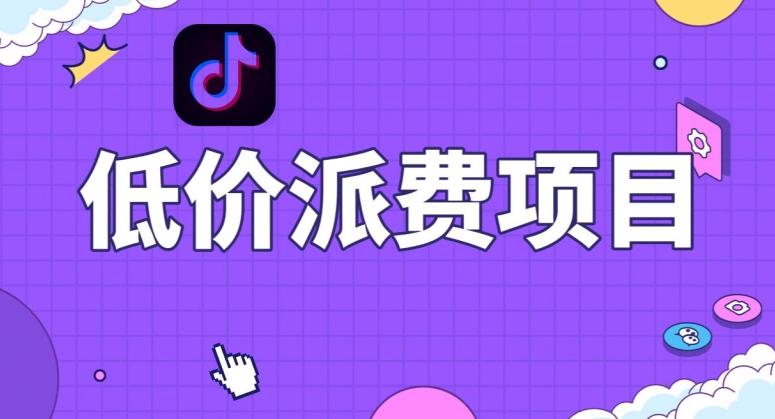 抖音低价派单项目，0门槛，日入1000+很轻松，小白可操作【揭秘】-511资料网