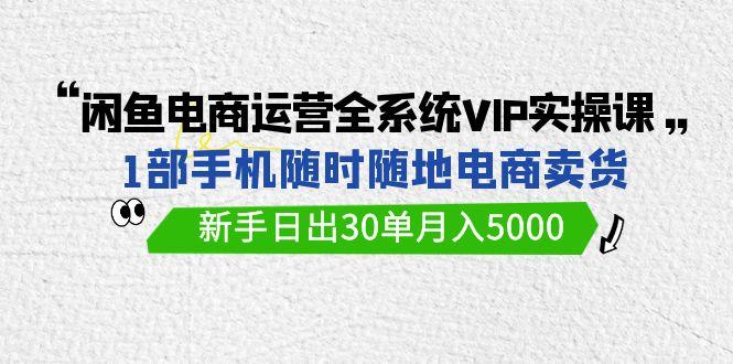 (9547期)闲鱼电商运营全系统VIP实战课，1部手机随时随地卖货，新手日出30单月入5000-511资料网