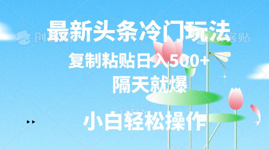 最新头条冷门玩法，隔天就爆，复制粘贴日入500+-511资料网