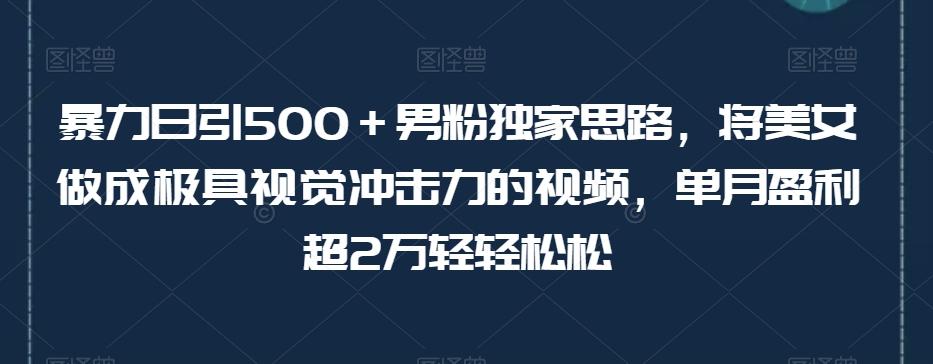 暴力日引500＋男粉独家思路，将美女做成极具视觉冲击力的视频，单月盈利超2万轻轻松松-511资料网