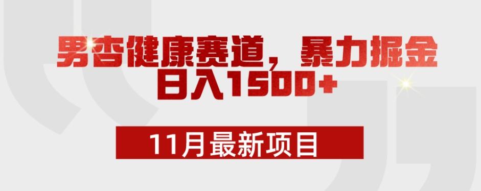 11月最新项目，男杏健康赛道，暴力掘金，日入1500+-511资料网