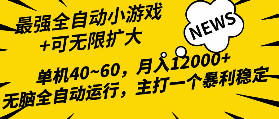 (10046期)2024最新全网独家小游戏全自动，单机40~60,稳定躺赚，小白都能月入过万-511资料网
