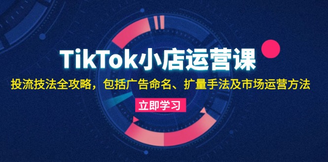 TikTok小店运营课：投流技法全攻略，包括广告命名 扩量手法及市场运营方法-511资料网