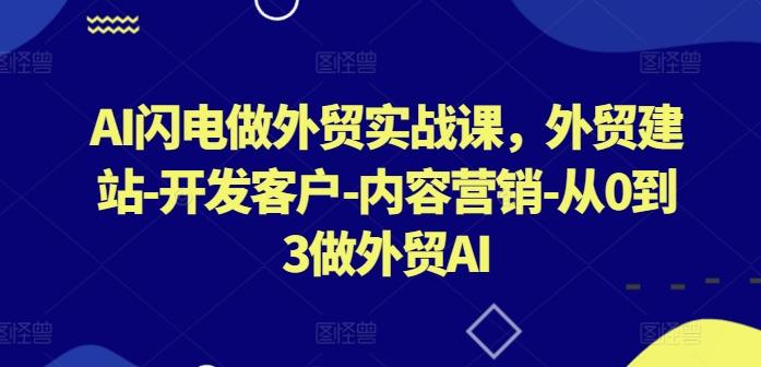 AI闪电做外贸实战课，​外贸建站-开发客户-内容营销-从0到3做外贸AI-511资料网