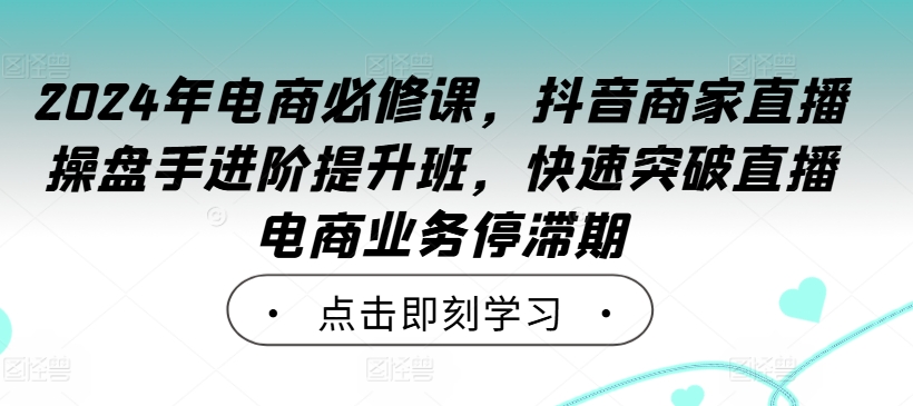 2024年电商必修课，抖音商家直播操盘手进阶提升班，快速突破直播电商业务停滞期-511资料网