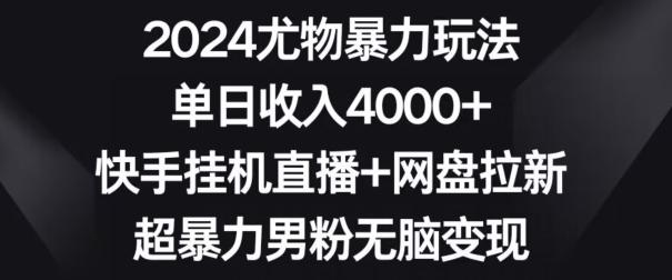 2024尤物暴力玩法，单日收入4000+，快手挂机直播+网盘拉新，超暴力男粉无脑变现【揭秘】-511资料网