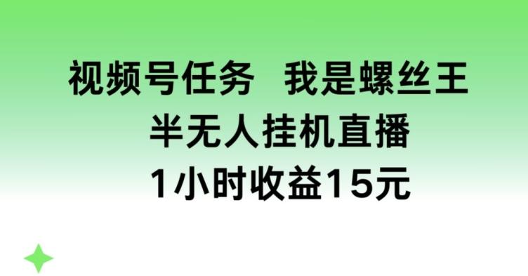 视频号任务，我是螺丝王， 半无人挂机1小时收益15元【揭秘】-511资料网