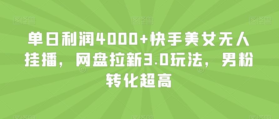 单日利润4000+快手美女无人挂播，网盘拉新3.0玩法，男粉转化超高【揭秘】-511资料网