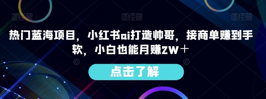 热门蓝海项目，小红书ai打造帅哥，接商单赚到手软，小白也能月赚2W＋-511资料网