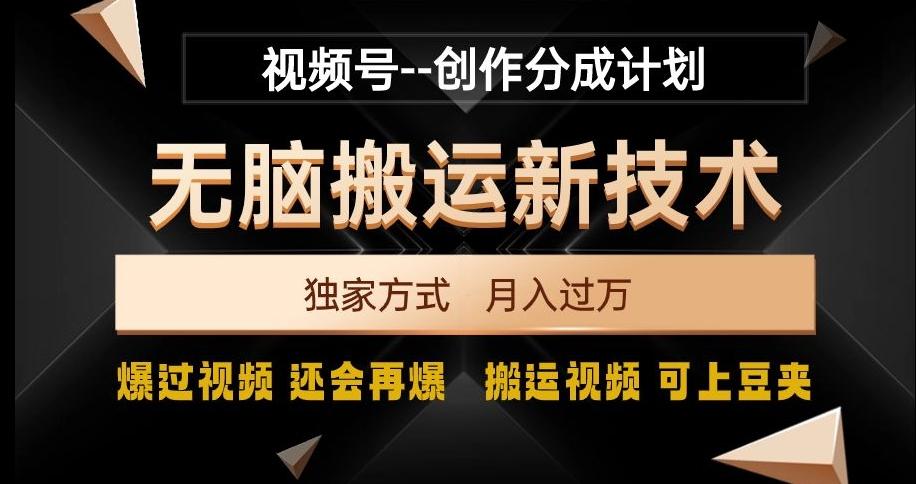视频号无脑搬运新技术，破原创壕流量，独家方式，爆过视频，还会再爆【揭秘】-511资料网